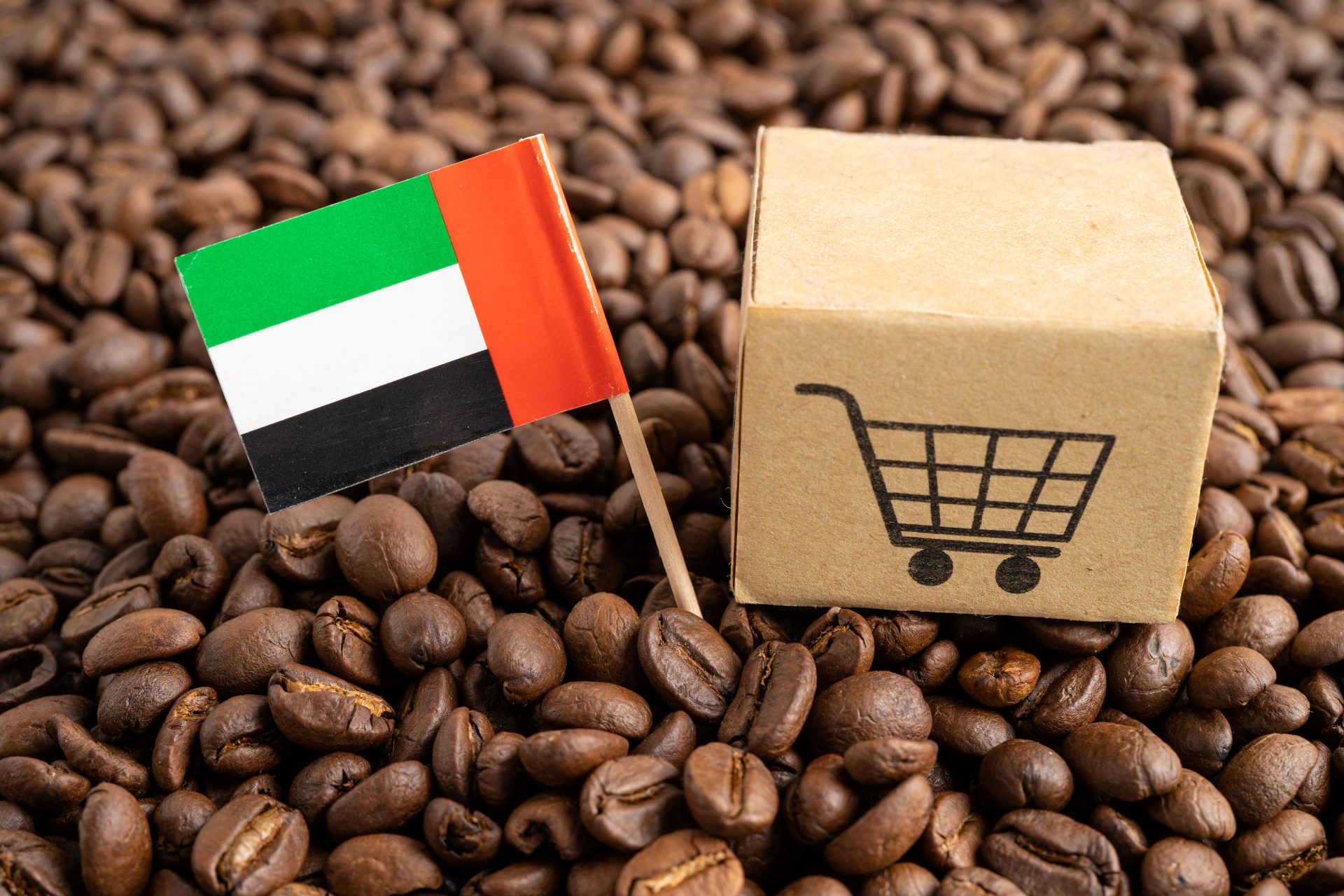 Strategic D2C Brand Launch in the UAE: An Integrated Approach to E-Commerce, Fulfillment, and Digital Marketing