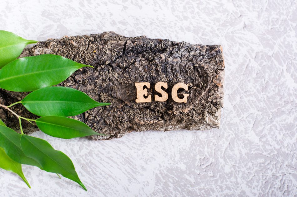 ESG is Not a Department, It’s a Strategy: Integrating Sustainability for Profit and Purpose